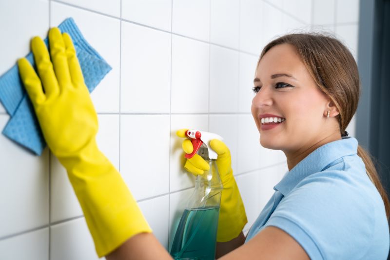 Monthly Maid Service in Frisco, TX